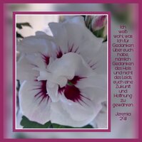 PicsArt_08-25-05.43.25.jpg