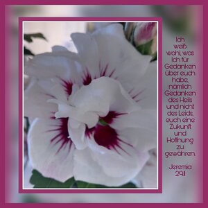 PicsArt_08-25-05.43.25.jpg