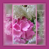 PicsArt_08-21-06.44.56.jpg