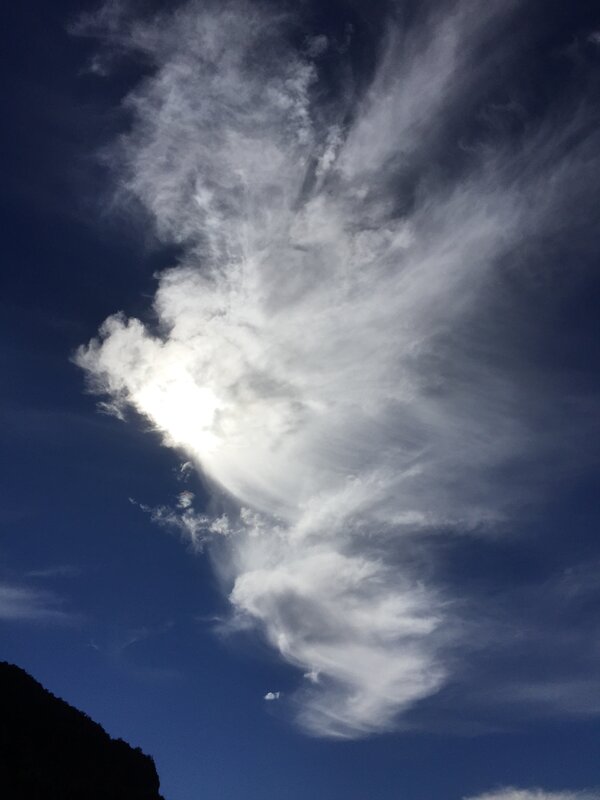 Sein Wind Sein Wind